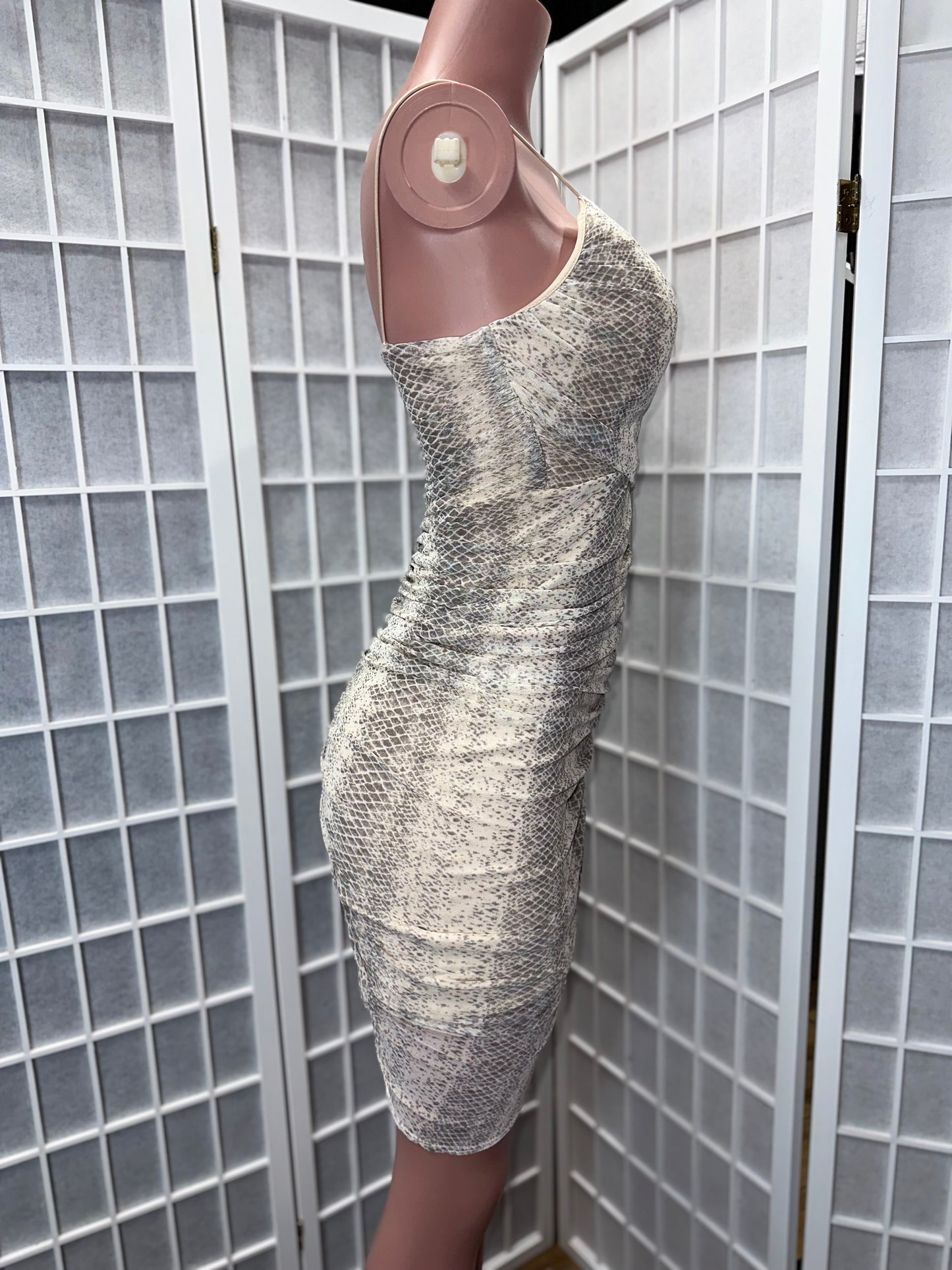 Untamed Snake Dress